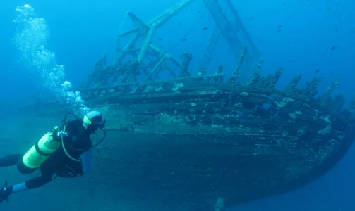 Half-day diving trip in Split