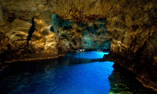 Half-day diving trip in Split