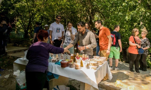 Pobjegnite od gradske gužve u Nacionalni park Krka