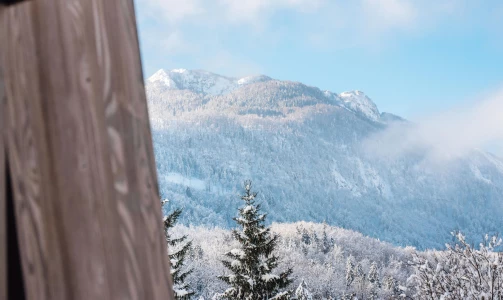 Hotel Bohinj - Noćenje za 2 osobe s doručkom i ulazom u wellness