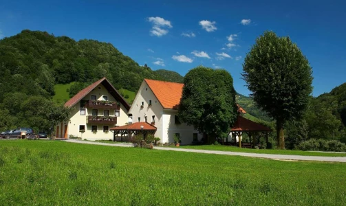 Kmetija Želinc – Übernachtung mit Frühstück im Zimmer mit französischem Bett