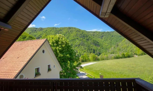 Kmetija Želinc – Übernachtung mit Frühstück im Zimmer mit französischem Bett