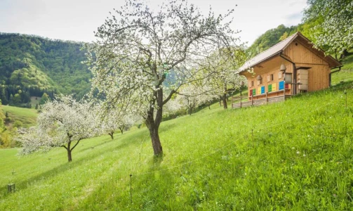 Kmetija Želinc – Übernachtung mit Frühstück im Zimmer mit französischem Bett