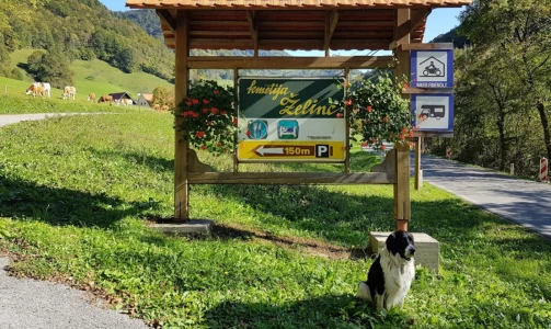 Kmetija Želinc – Übernachtung mit Frühstück im Zimmer mit französischem Bett