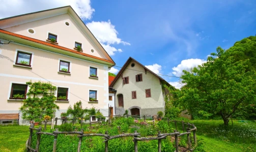 Kmetija Želinc – Übernachtung mit Frühstück im Zimmer mit französischem Bett
