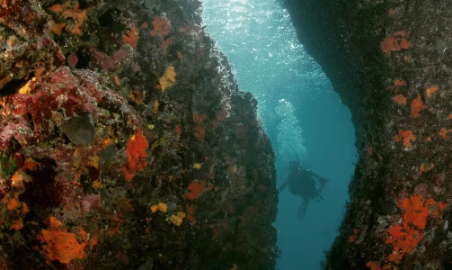 Početnički tečaj ronjenja OPEN WATER - PSS u Bolu