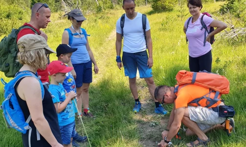 Škola preživljavanja Laris - napredni tečaj preživljavanja ili promatranje medvjeda u prirodi