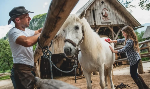 Mrcina Ranch - anderthalb Stunden Reiten