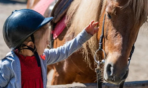Mrcina Ranch - anderthalb Stunden Reiten
