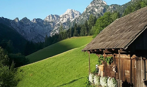 Ein Besuch des Gehöfts Matjaž mit einem Sekt zur Begrüßung
