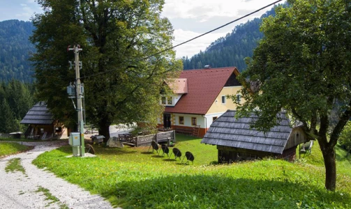 Ein Besuch des Gehöfts Matjaž mit einem Sekt zur Begrüßung