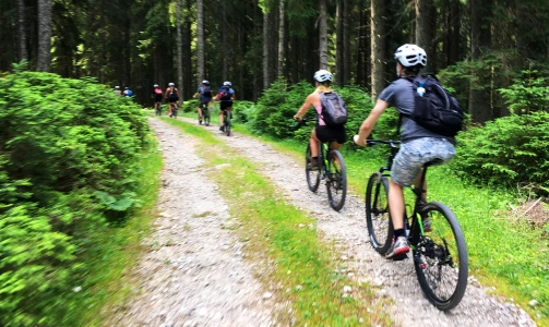 Life adventures – Mountain biking in the hills and forests around Bled