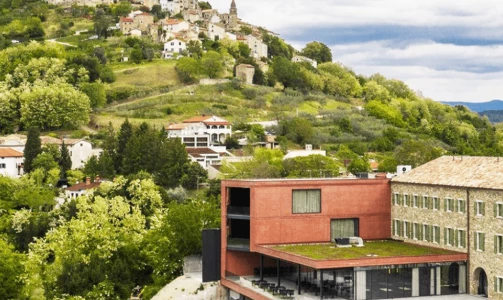 Razmazite svoje nepce u Restaurant & Wine Roxanich