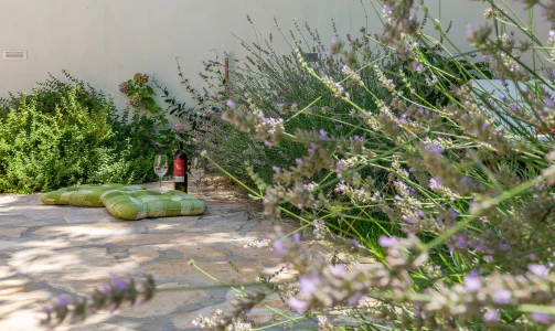 A seven-day vacation in Apartment Nik near Poreč