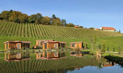 Noćenje u glamping kućici među vinogradima