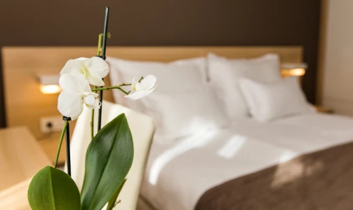 Drei Tage im Hotel Crikvenica **** mit einer verrückten Shisha-Bar-Party