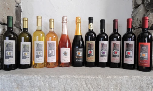 Vinska klet Tavčar - Teranova degustacija in domača pojedina za 4 osebe