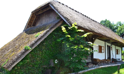 Druženje ob vrhunskem vinu na Matjaževi domačiji