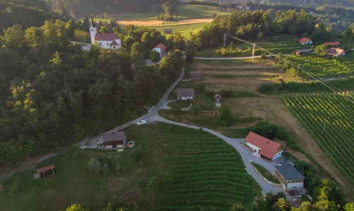Druženje ob vrhunskem vinu na Matjaževi domačiji